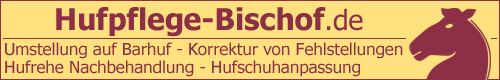Hufpflege Bischof